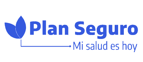plan-seguro-2